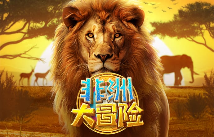 cbin仲博官方网站
